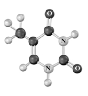 The photochemical cycloaddition of the structure below is related to DNA mutations causing skin cancer.Draw the structure of this dimer.Atoms other than carbon and hydrogen are labeled.  