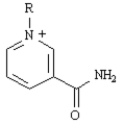 Exhibit 29-1 MATCH a term or structure from the list below to each of the following definitions or names.Place the letter of the term or structure in the blank to the left of the definition or name which it describes. -_____ The product of the citric acid cycle,which is a reactant in the first step. A) electron-transport chain B)   C) citric acid cycle D) Embden-Meyerhoff E) glycolysis F)   G) Hans Krebs H) catabolism I) ATP J)   K) fatty acid spiral L) anabolism M) acetyl CoA N)   O)   P) gluconeogenesis Q) metabolism