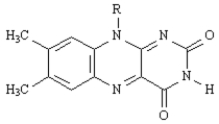 Exhibit 29-1 MATCH a term or structure from the list below to each of the following definitions or names.Place the letter of the term or structure in the blank to the left of the definition or name which it describes. -_____ The product of the citric acid cycle,which is a reactant in the first step. A) electron-transport chain B)   C) citric acid cycle D) Embden-Meyerhoff E) glycolysis F)   G) Hans Krebs H) catabolism I) ATP J)   K) fatty acid spiral L) anabolism M) acetyl CoA N)   O)   P) gluconeogenesis Q) metabolism
