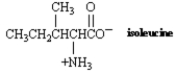 What is the structure of the α-keto acid formed by transamination of the amino acid isoleucine?  