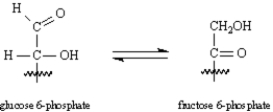 Exhibit 29-4 Consider the reaction below to answer the following question(s) :   -Refer to Exhibit 29-4.The isomerization of glucose 6-phosphate to fructose 6-phosphate is an example of: A) an elimination reaction B) an oxidation reaction C) keto-enol tautomerism D) a conjugate addition reaction
