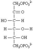 Exhibit 29-5 Consider the reaction below to answer the following question(s):   -Refer to Exhibit 29-5.Draw arrows on the structure below showing electron flow in this reaction.  