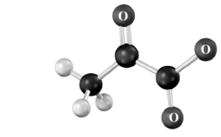 Draw the structure of the amino acid that is the precursor to the substance shown below.Atoms other than carbon and hydrogen are labeled.  