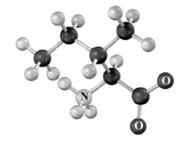 Draw the structure of the product formed on the transamination of the following substance.Atoms other than carbon and hydrogen are labeled.  