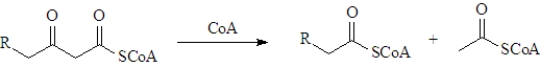 During β-oxidation the following reaction occurs.What type of reaction is this?   A) Claisen condensation B) retro-Claisen condensation C) aldol condensation D) retro-aldol condensation