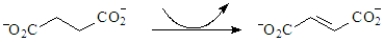 Consider the following conversion that occurs in the citric acid cycle.   What formula should be placed at the tail of the arrow? A) FADH<sub>2</sub> B) FAD C) NAD<sup>+</sup> D) NADH