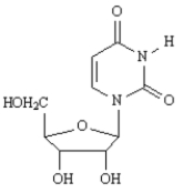 _____ 2'-deoxyadenosine 5'-phosphate A) Sanger dideoxy method B) GAUCGUAAA C) Watson-Crick D) translation E)   F)   G) transcription H) Maxam-Gilbert method I) AUGGCUGAG J) replication K)    L)   M) AGATCGCTC