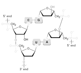 Identify any errors in the figure shown below.  