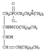 Exhibit 27-1 MATCH each of the following terms to a structure from the list below.There is only one correct structure for each term,and structures may be used more than once.Place the letter of the structure in the blank to the left of the corresponding term.  -_____ a sphingomyelin A)     B)    C)     D)     E)     F)     G) Malonyl ACP H)    I)     J)   