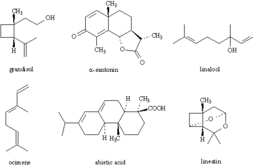 Exhibit 27-2 Refer to the structures of the terpenes below to answer the following question(s). ​ Show the positions of the isoprene units in each of the indicated terpenes. ​   -linalool