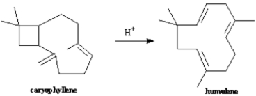 Suggest a mechanism by which caryophyllene is transformed into humulene by treatment with acid.  