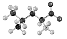 Which of the following is a correct representation of the amino acid below? Atoms other than carbon and hydrogen are labeled.   A) Isoleucine B) ILe C) I D) None of these present this amino acid. E) All of these represent this amino acid.