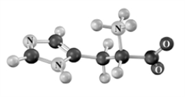The following amino acid: (Atoms other than carbon and hydrogen are labeled. )    A) has two chirality centers. B) is classified as secondary α-amino acid. C) is characterized by three pK<sub>a</sub>s D) would have a net +1 charge as shown.