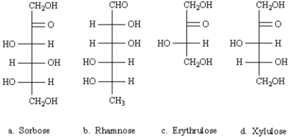 Exhibit 25-4 From the sugars below,choose the one that best fits each description below.Place the letter of the sugar in the blank to the left of the description.There is only one correct answer for each question.   -_____ a sugar which yields a single alditol upon reduction. A)  Sorbose B)  Rhamnose C)  Erythrulose D)  Xylulose