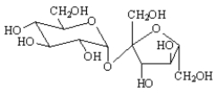 Exhibit 25-9 Choose a structure from the list provided below that best fits each of the following descriptions.Place the letter of the structure in the blank to the left of the description.There is only one correct answer for each question. -_____ a 1,4' β-glycoside A)   B)   C)   D)   E)   F)  