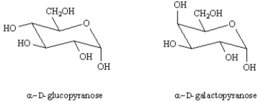 Melibiose is a reducing disaccharide that forms D-glucose and D-galactose on hydrolysis.Reaction of melibiose with iodomethane and silver oxide yields an octamethyl derivative,which can be hydrolyzed with aqueous acid to give one equivalent of 2,3,4,6-tetra-O-methyl-D-galactopyranose and one equivalent of 2,3,4,-tri-O-methyl-D-glucopyranose.If melibiose contains an α-glycosidic bond,what is its structure? ​  