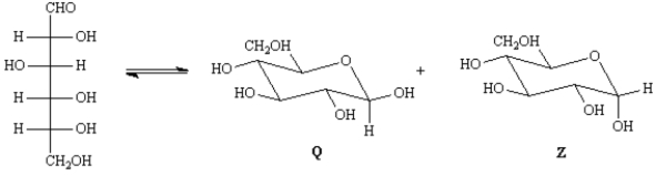 Exhibit 25-11 Consider the reaction below to answer the following question(s).   -Refer to Exhibit 25-11.Place a triangle around the anomeric carbon in compound Q.