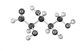 Consider the following structure.Atoms other than carbon and hydrogen are labeled.   How many chirality centers are present? A) 1 B) 2 C) 3 D) 4 E) 5