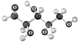 Examine the following molecular models.Atoms other than carbon and hydrogen are labeled. ​ ​     ​ ​ Which of the following correctly describes these substances? A) Equivalent structures B) Enantiomers C) Diastereomers D) Constitutional isomers