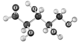 Examine the following molecular models.Atoms other than carbon and hydrogen are labeled. ​ ​     ​ ​ Which of the following correctly describes these substances? A) Equivalent structures B) Enantiomers C) Diastereomers D) Constitutional isomers