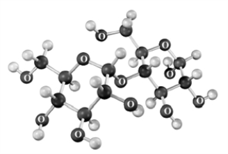 Classify the following substance.Atoms other than carbon and hydrogen are labeled.   A)    B)    C)    D)   