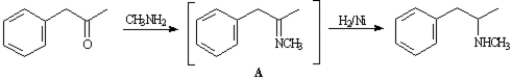 <strong>Exhibit 24-2 Consider the reaction below to answer the following question(s). Methamphetamine can be synthesized by reacting phenyl-2-propanone with methylamine in the presence of H<sub>2</sub>/Ni.   Refer to Exhibit 24-2.Intermediate A is an example of:</strong> A)an imine B)an enamine C)an iminium ion D)an imide <div style=padding-top: 35px> 