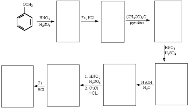 Draw the structures for each of the intermediates in the boxes provided for the synthesis below.  