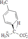 <strong>The amino acid phenylalanine has the structure below.   Which of the following is the best representation of this acid at pH 7.3?</strong> A)   B)   C)   D)   <div style=padding-top: 35px> 