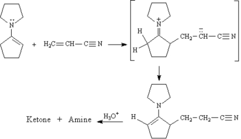 Exhibit 23-10 Consider the reaction below to answer the following question(s). The Stork enamine reaction is a variation on the Michael reaction which utilizes an enamine nucleophile.   -Refer to Exhibit 23-10.Draw the structures of the Ketone + Amine products of this reaction.