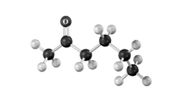 Draw the structure of the major product formed when the substance represented by the following molecular model is treated with: 1.Br<sub>2</sub>/acetic acid,2.pyridine/heat.Atoms of other than carbon and hydrogen are labeled.  