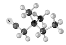 Explain how to use an alkylation reaction to produce:   from   Atoms other than carbon and hydrogen are labeled.