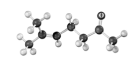 The following substance is produced using acetoacetic ester synthesis.Atoms other than carbon and hydrogen are labeled.   Which of the following regions of an IR spectrum could be used to monitor the progress of the reaction? A) 2850 - 29060 cm<sup>-1</sup> B) 2500 - 3100 cm<sup>-1</sup> C) 1670 - 1780 cm<sup>-1</sup> D) 500 - 600 cm<sup>-1</sup> E) either c or d