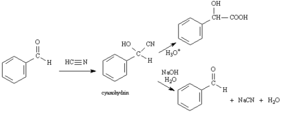 Exhibit 19-2 Consider the data below to answer the following question(s). Cyanohydrins are important intermediates in the synthesis of α-hydroxycarboxylic acids from ketones and aldehydes.The nitrile functional group can be hydrolyzed by aqueous acid to yield a carboxylic acid.Nitriles can also be hydrolyzed to carboxylic acids using aqueous base.Unfortunately,when a cyanohydrin is treated with aqueous base the original carbonyl compound is isolated.   -Refer to Exhibit 19-2.Formulate a reasonable mechanism for the reaction of the cyanohydrin of benzaldeyhe,shown above,with aqueous NaOH.Show all intermediate structures and all electron flow with arrows.