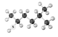 Consider the following species.Atoms other than carbon and hydrogen are labeled.   Which of the following would be produced upon treatment with I<sub>2</sub>? A) ​   B) ​   C) ​   D) ​  
