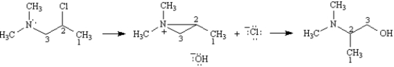Exhibit 11-11 Consider the reaction below to answer the following question(s).   -Refer to Exhibit 11-11.As indicated by the carbon numbers,during the course of this reaction the bond between the nitrogen atom and carbon 3 is broken and a bond between the nitrogen atom and carbon 2 is formed.On the structures provided below,draw arrows showing electron flow for the mechanism that accounts for these bonding changes.  