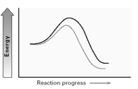 Consider the two energy diagrams below for an S<sub>N</sub>2 reaction. A B     Which of the following is correct?: A) The change in the variable shown in A affects the transition state while that of B affects the reactant. B) The change in the variable shown in A affects the reactant while that of B affects the transition state. C) The changes in the variables shown in both A and B affect the transition state. D) The changes in the variables shown in both A and B affect the reactants.