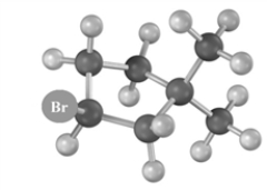 Draw the skeletal structure(s) and name the product(s) of the reaction when the following substance is treated with ethanoic KOH.Atoms other than hydrogen and carbon are labeled.  
