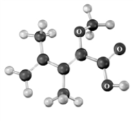 The following shows the connectivity of atoms only.Atoms other than carbon and hydrogen are labeled.   How many degrees of unsaturation are present in the compound? A) 1 B) 2 C) 3 D) 4 E) 5