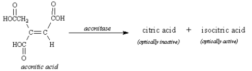 The enzyme aconitase catalyzes the hydration of the alkene functional group of aconitic acid to give two products,citric acid and isocitric acid.Isocitric acid is optically active;citric acid is not optically active.Based on your knowledge of alkene hydration and optical activity,the structure of citric acid is:   A)    B)    C)    D) cannot be determined