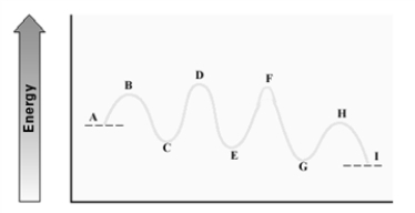 Consider the following energy diagram for an enzyme-catalyzed reaction.   Which step has the least energetic transition state? A) A - C B) C - E C) E - G D) G - I