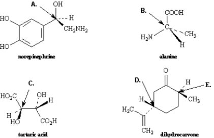 Exhibit 5-3 Assign R,S configurations to each indicated chirality center in the molecules below. ​   -Refer to Exhibit 5-3.The configuration of this carbon atom (A) is _____.