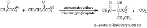Acetoacetate synthase catalyzes the addition of pyruvate to β-ketobutyrate to yield α-aceto-α-hydroxybutyrate.If the addition occurs from the si face of β-ketobutyrate,what is the stereochemistry of the product?  