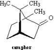 Exhibit 4-3 The following question(s)  refer to the structure of camphor shown below.   -Refer to Exhibit 4-3.Camphor is an example of a: A) fused bicyclic molecule. B) bridged bicyclic molecule. C) fused tricyclic molecule. D) bridged tricyclic molecule.