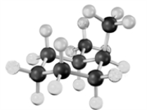 What relationship exists between the following two structures?     A) identical molecules B) constitutional isomers C) stereoisomers D) different molecules