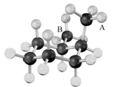 Consider the two methyl groups indicated with letters in the following molecular model.   These two groups are: A) A: axial B: axial B) A: axial B: equatorial C) A: equatorial B: axial D) A: equatorial B: equatorial