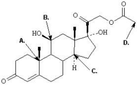 Exhibit 3-2 Label the indicated atoms in the structure below as 1°,2°,3°,or 4°.   -Refer to Exhibit 3-2.The atom at B is _____.