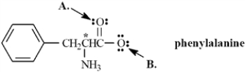 Exhibit 2-3 Phenylalanine is an amino acid that is essential to human nutrition.The representation below shows the structure of phenylalanine at physiological pH.Consider this structure to answer the following question(s).   -Refer to Exhibit 2-3.Assign any formal charges to atoms in this representation of phenylalanine.
