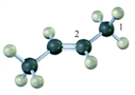 Indicate the hybridization on each of the carbon atoms indicated with a number in the molecular model shown.  