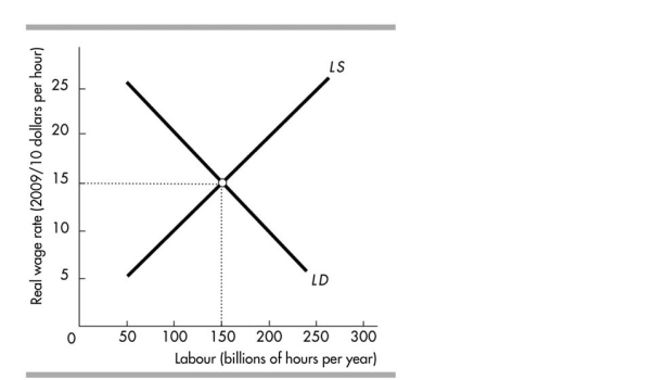  -In the above figure, at a wage rate of $20 per hour, A) there is a shortage of labour. B) the labour supply curve will shift rightward. C) the labour demand curve will shift rightward. D) there is a surplus of labour.