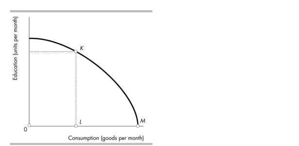 <strong> Molly just graduated from high school. The figure shows her possibilities frontier. If Molly goes to university, she will move from point M to point K. In terms of consumption goods, Molly's opportunity cost of going to university is</strong> A)OL. B)MK. C)LM. D)KL.